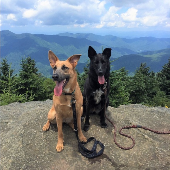 Not for sale - Picture 2 of 2